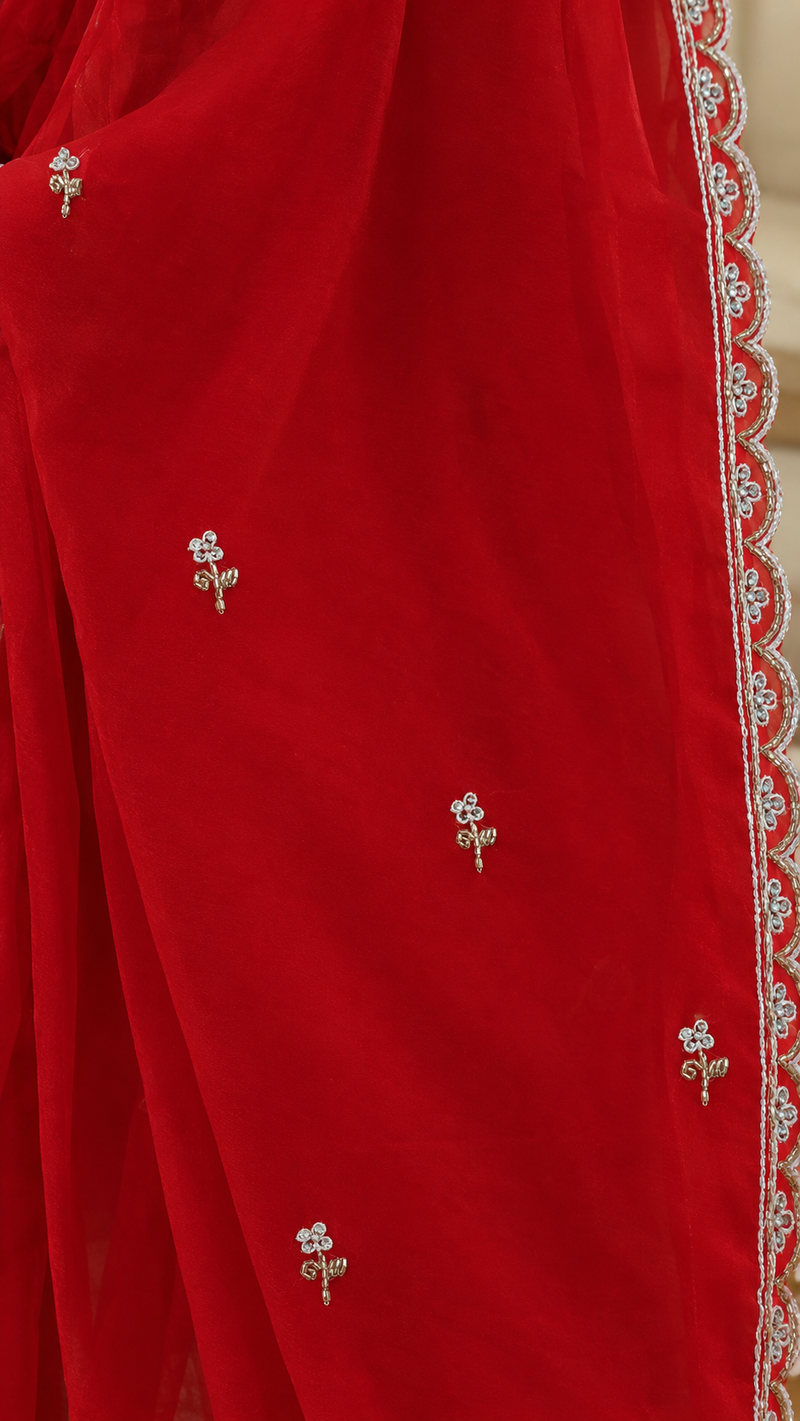 Ruby Georgette Saree